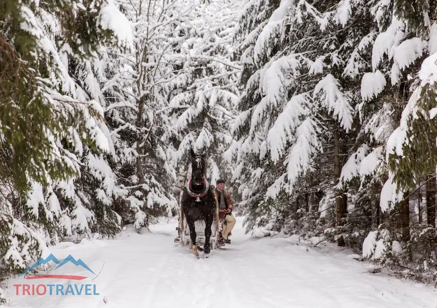 Highland sleigh ride through a snow-covered valley