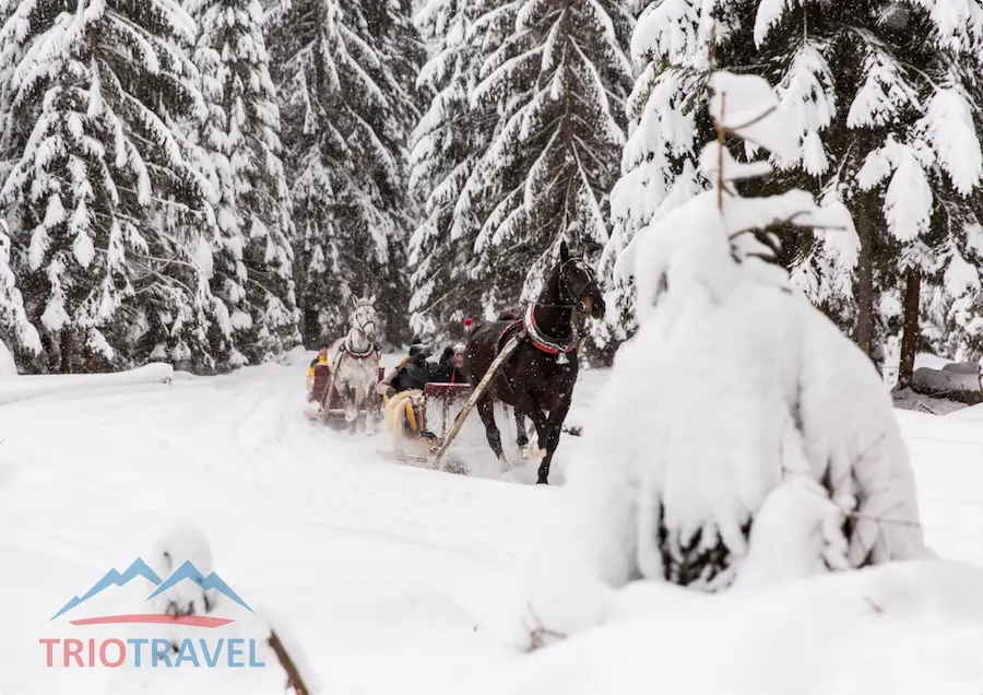 View of snow-covered mountains during a sleigh ride