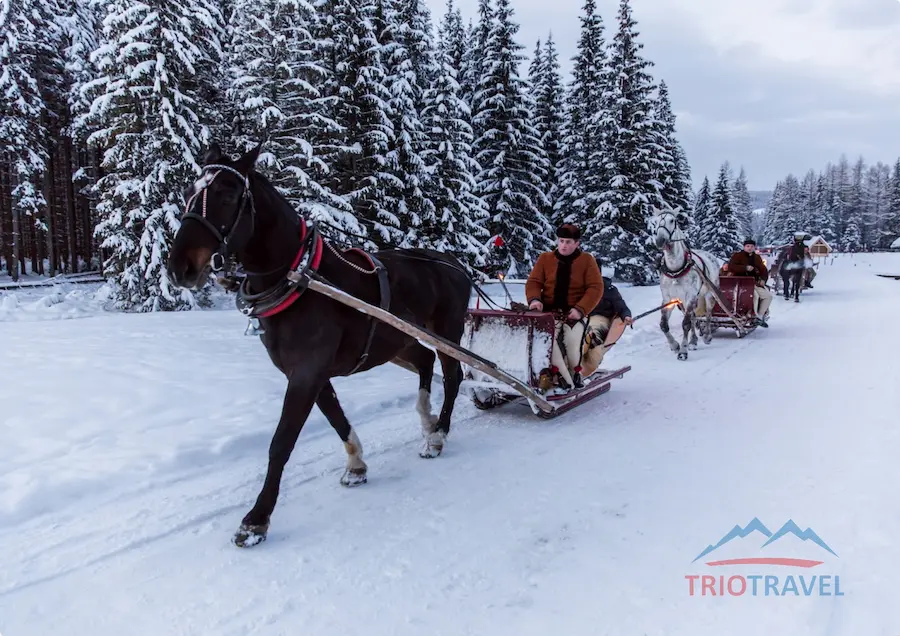 Group of tourists in a sleigh during an evening ride