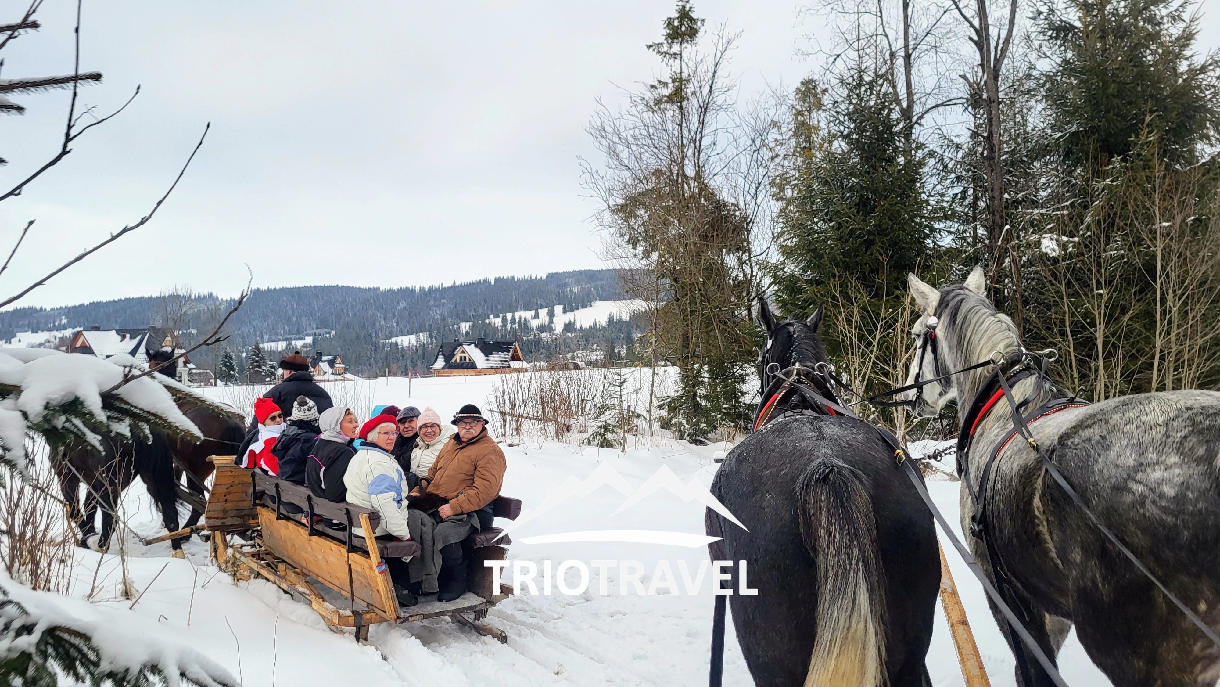 Tradycyjne sanie góralskie ciągnięte przez konie