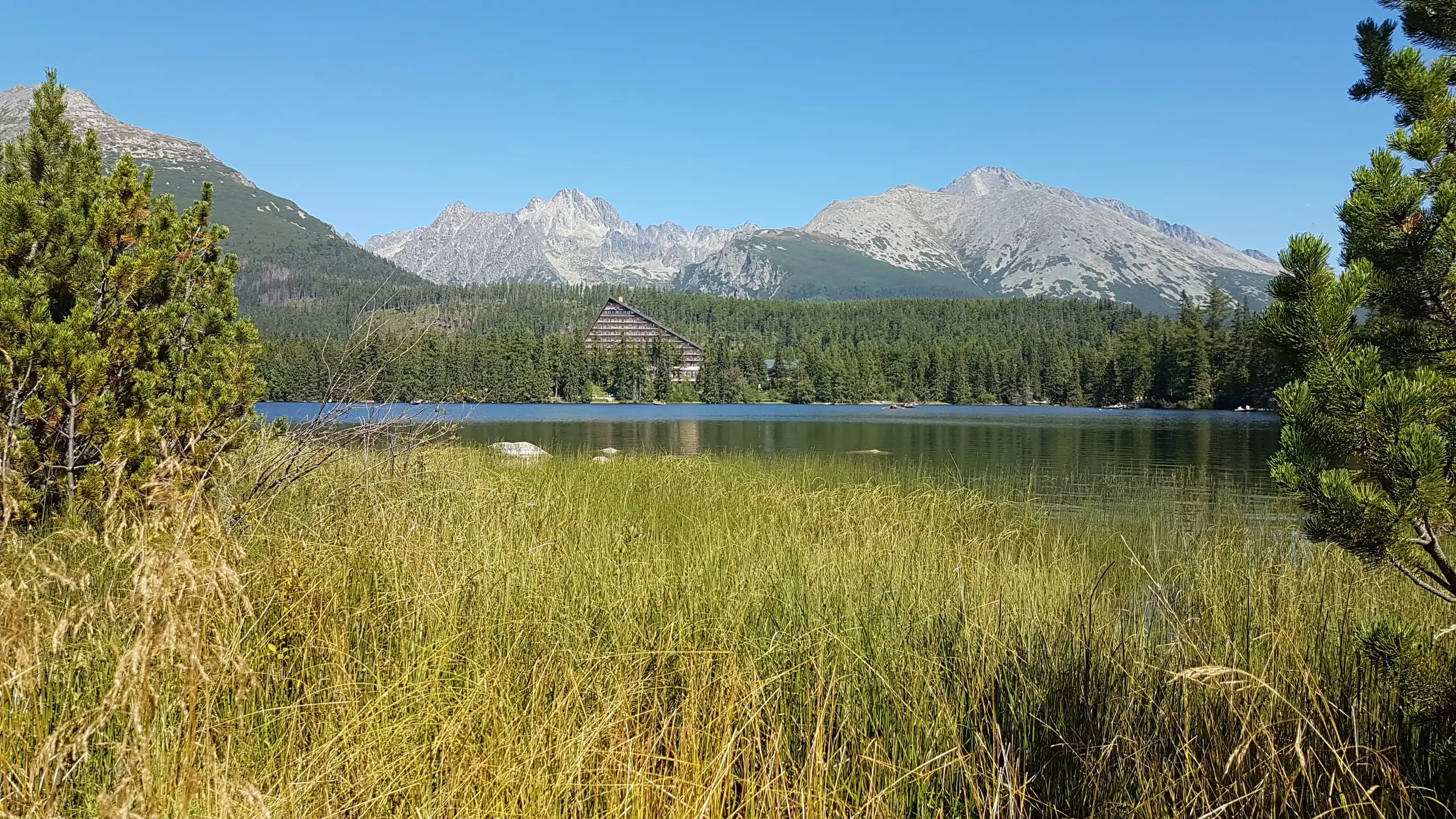 Peaceful landscape of Štrbské Pleso with a mountain view and a distinctive hotel among trees; tall grasses in the foreground