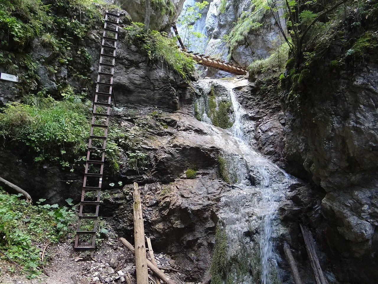 Ladder by a mini waterfall