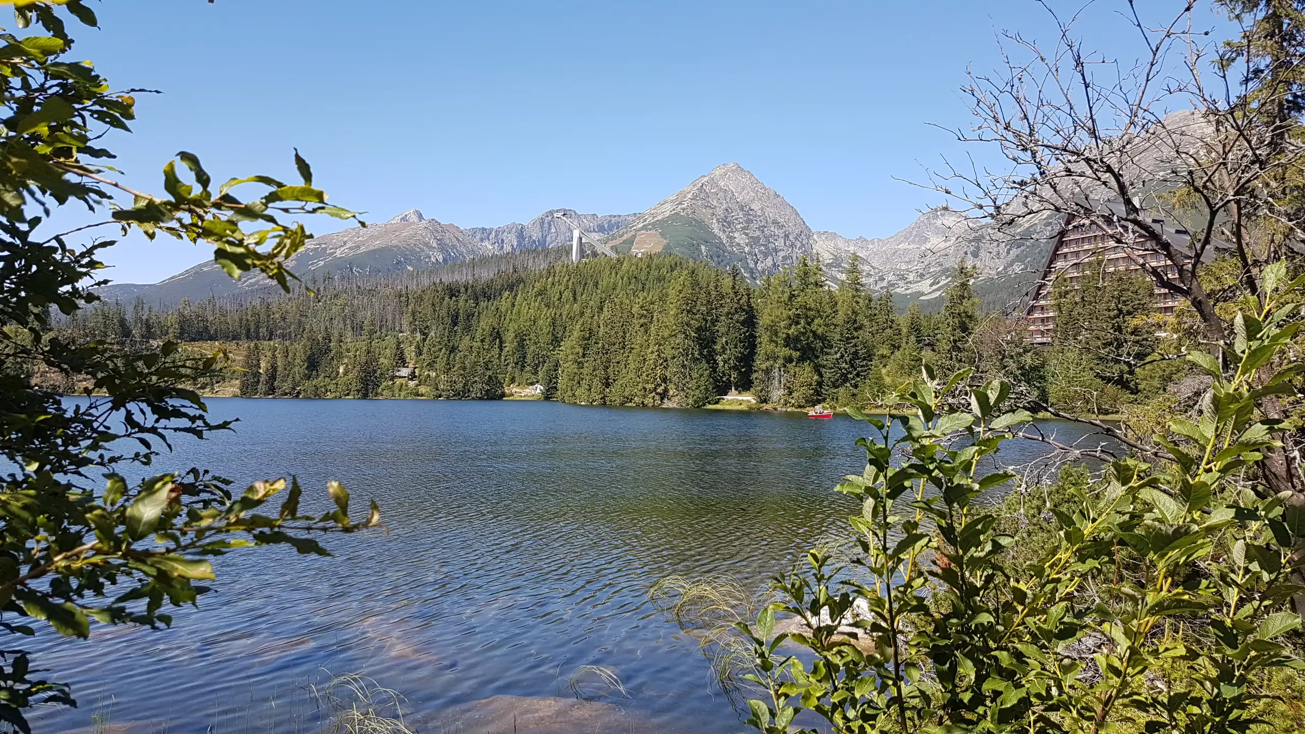 A view of Štrbské Pleso Lake surrounded by forest and mountains, partially obscured by shrub branches.