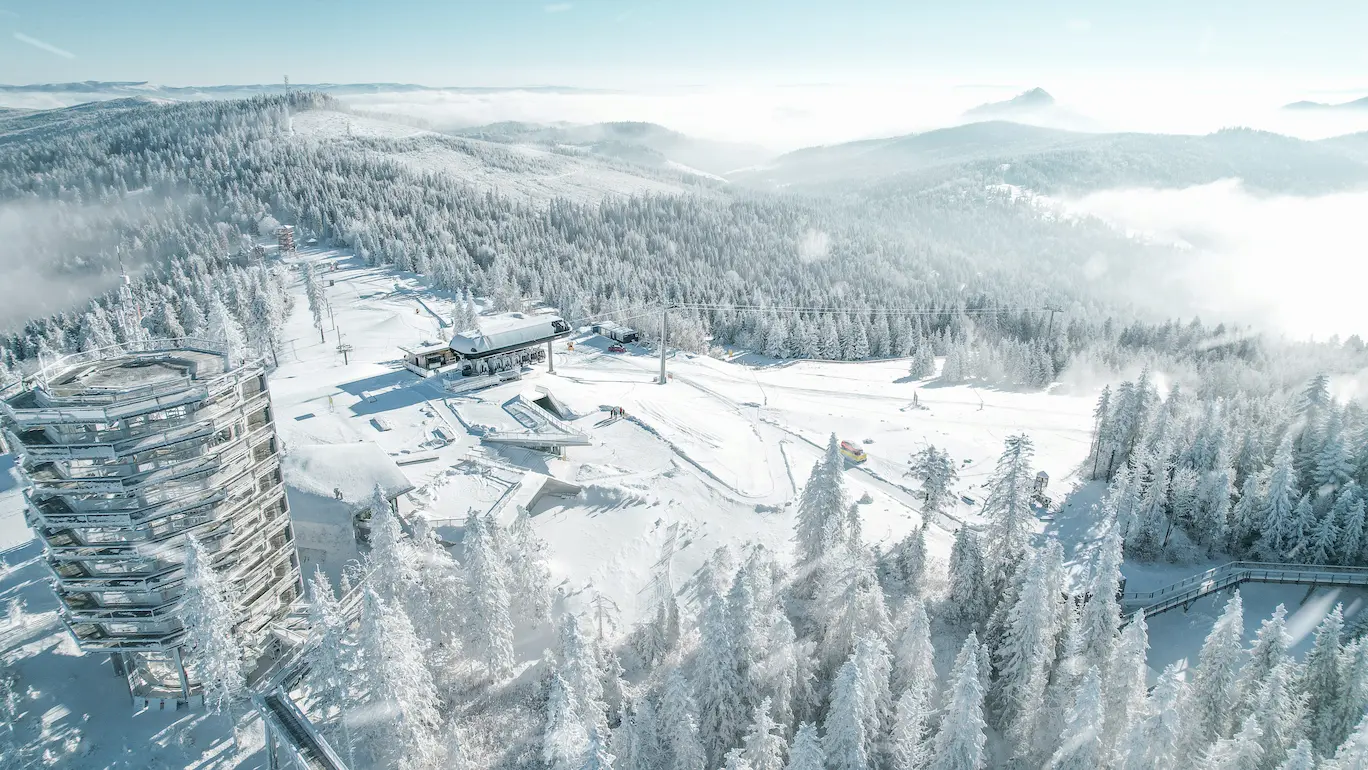 Ludzie w tratwie podczas spływu rzeką Dunajec