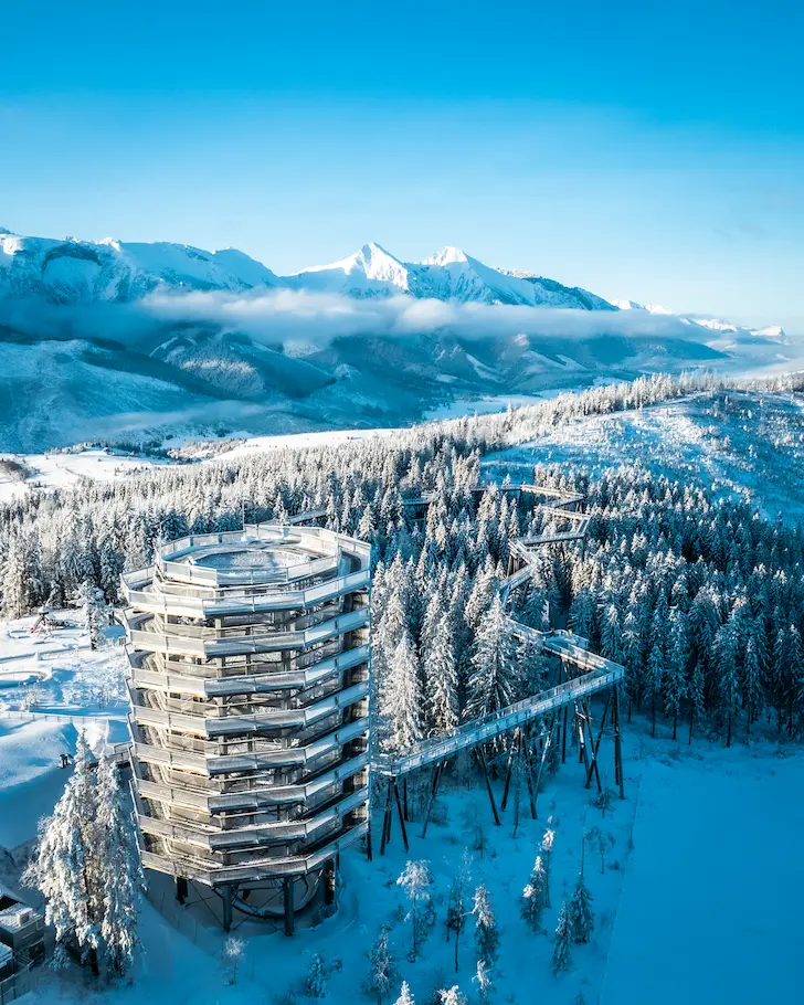 Grupa osób siedząca na trawiastym polu, otoczona drzewami pod pochmurnym niebem, z placem zabaw i budynkiem w tle.