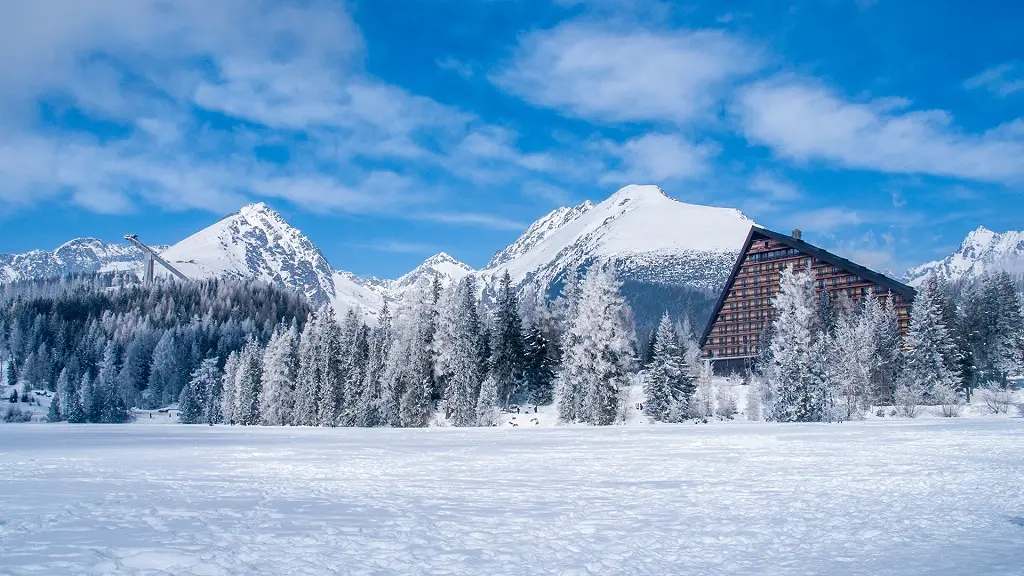 A view of Štrbské Pleso Lake surrounded by forest and mountains, partially obscured by shrub branches.