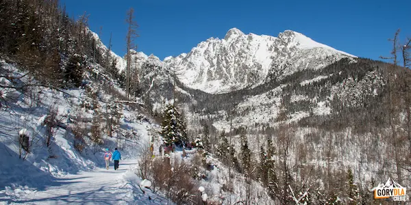 Zimowy krajobraz Tatr Wysokich ze szlakiem turystycznym prowadzącym na Hrebienok i widokiem na ośnieżony Szczyt Łomnicki.