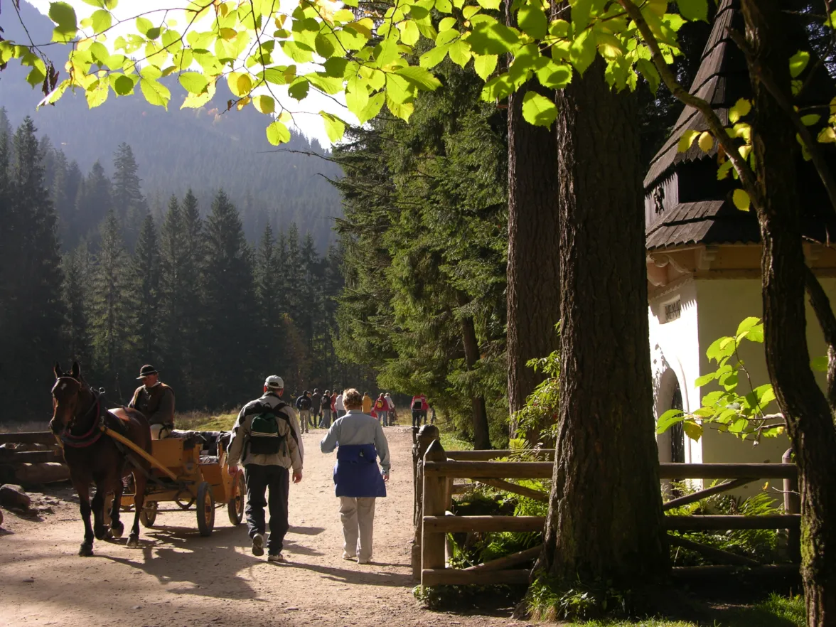 Ludzie z powozami obok tradycyjnego budownictwa Zakopane