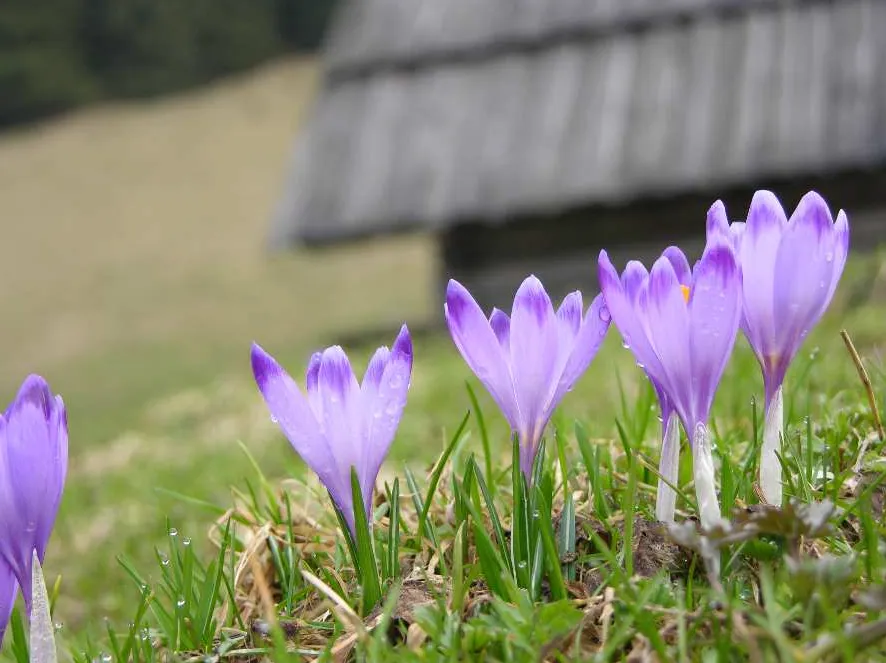 Tatry i Zakopane
